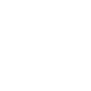 logo daksa studio transparent